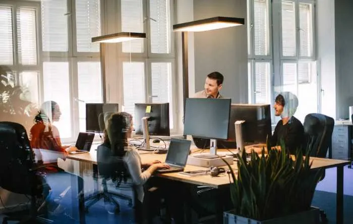 Website Design Team